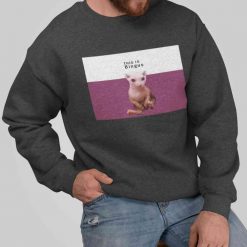 this is bingus funny meme unisex pullover sweatshirt 3compressed42104
