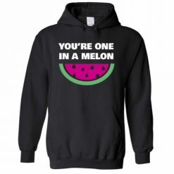 Youre One In A Melon Valentines Day Unisex Hoodie