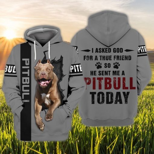 Love Pitbull I Asked God For A True Friend So He Sent Me A Pitbull Today 3d Hoodie