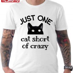 One Cat Short Of Crazy Funny Quote Black Cat Unisex T-Shirt