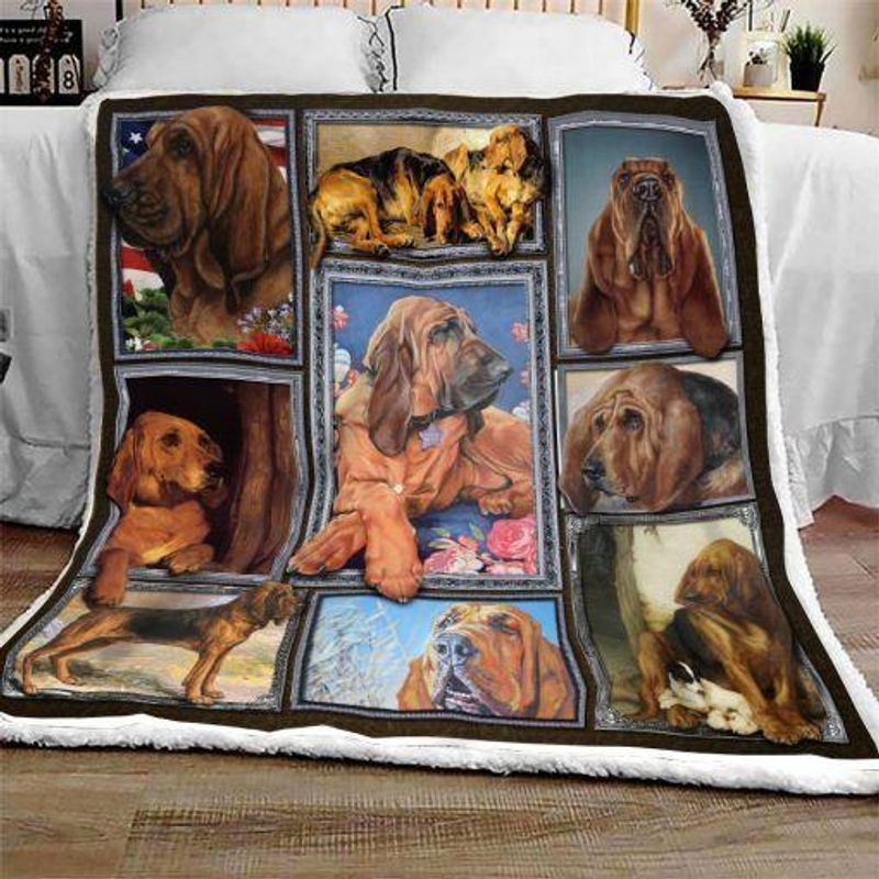 Bloodhound Dog Lovers Premium Comfy Sofa Throw Blanket