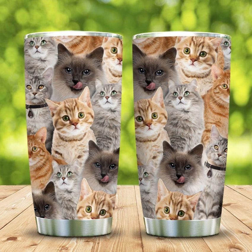 3D Picture Cats Stainless Steel Cup Tumbler