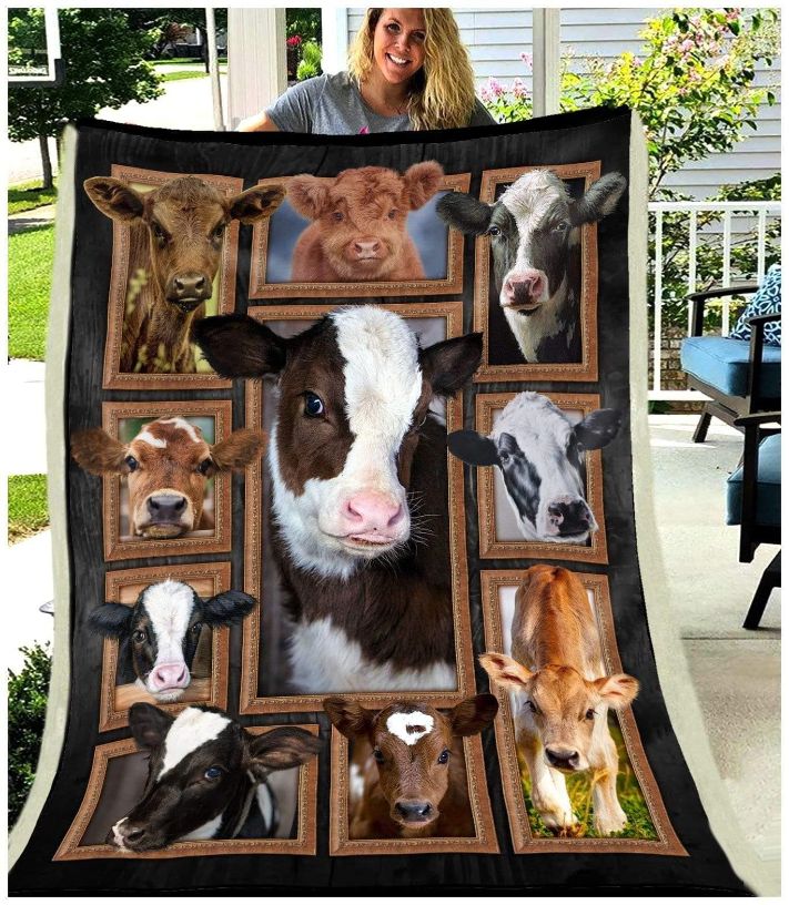 Blanket Cow Cute Cows Teeruto