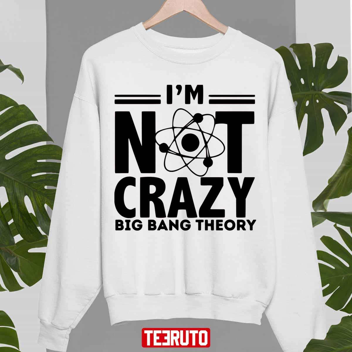 I’m Not Crazy Big Bang Theory Unisex Hoodie