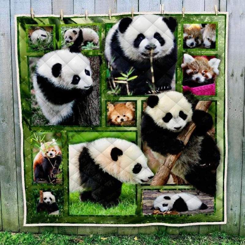 Panda Baby Photography Art Quilt Blanket Teeruto