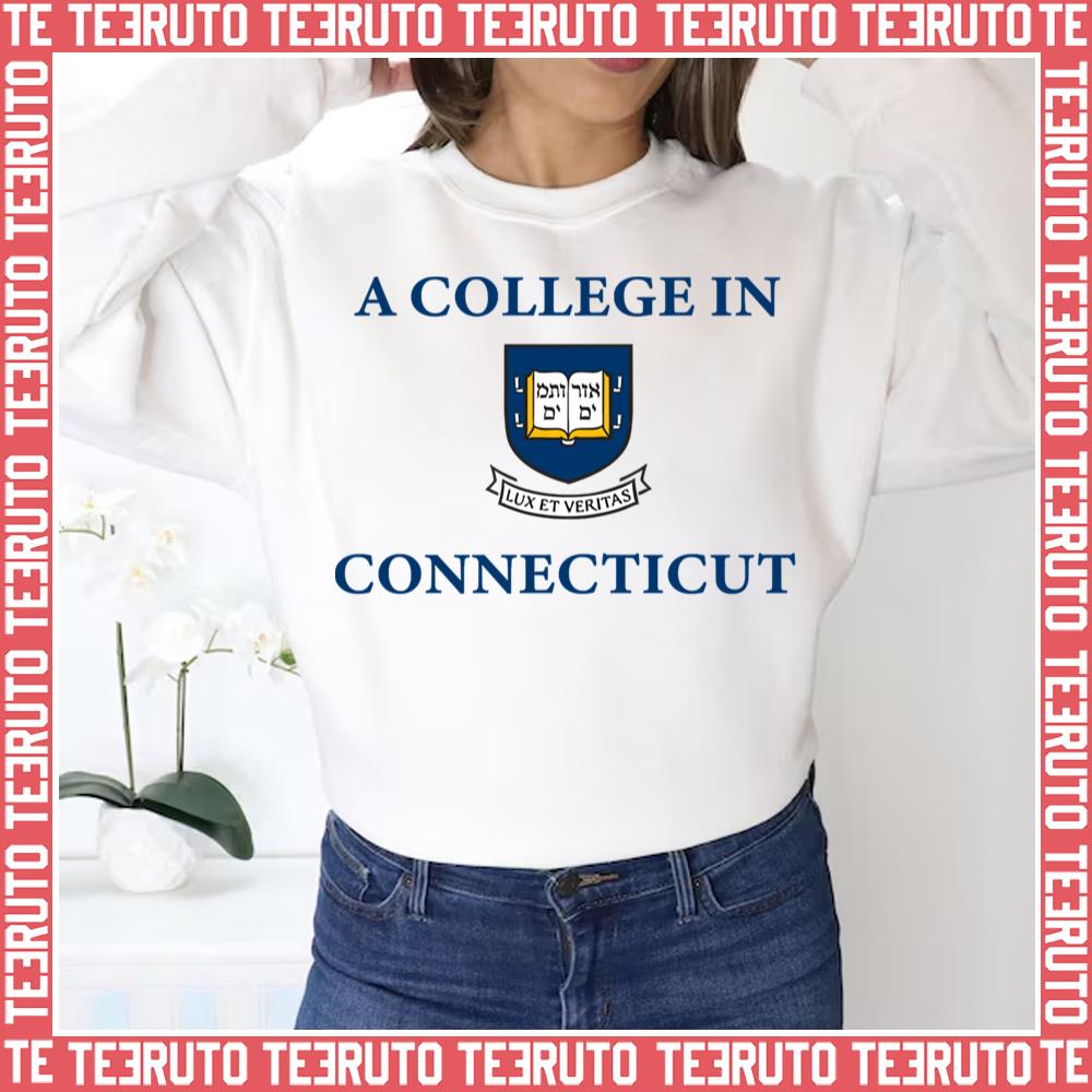 A College In Connecticut Unisex Sweatshirt